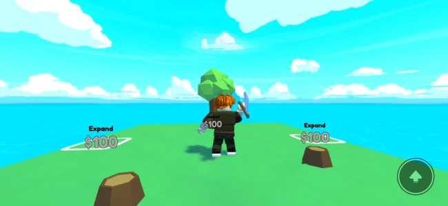 Download Roblox screenshots